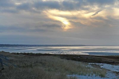 Silver and Gold at Skaket Beach