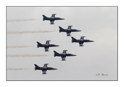 Patrouille Breitling - Istres 2010 - 4618