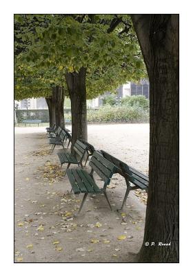Jardin parisien