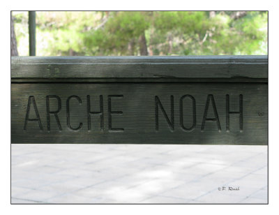 0352 - Arche Noah