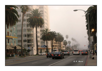 Fog on the street - 1650