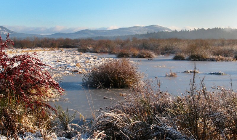 A Wee Bit Frosty