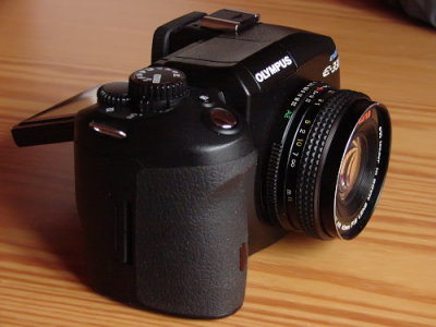 DSC04453.JPG