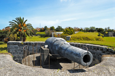 Large 11 Cannon