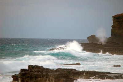IMGP3959_edited-1.jpg