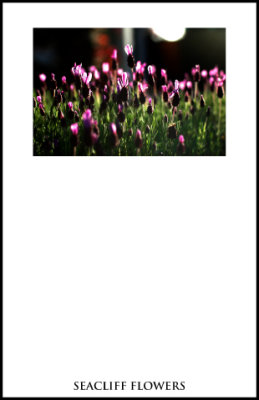 landscapes