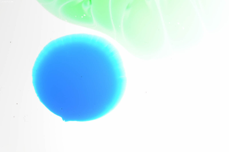 DS0_0042.jpg