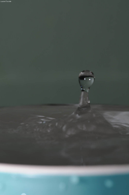 DS0_0623.jpg
