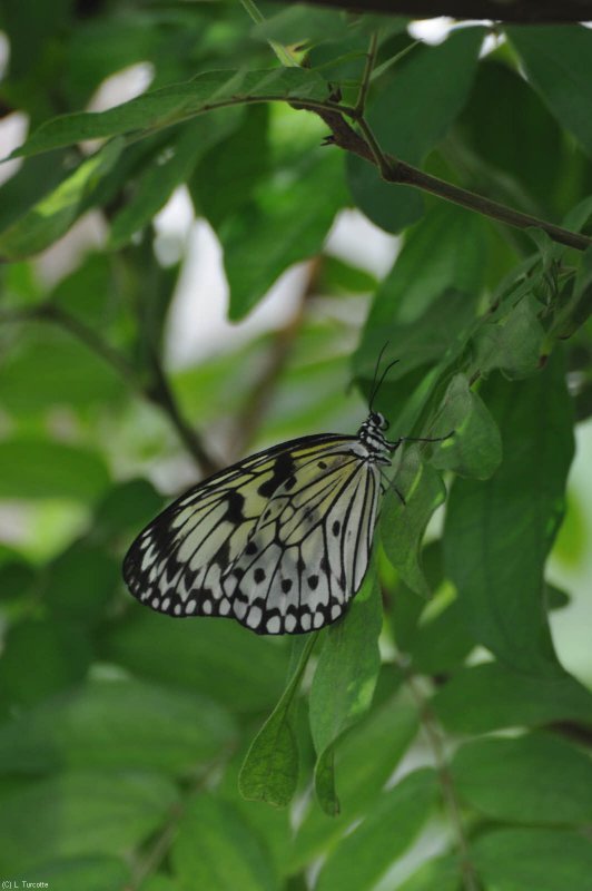 DS0_0844.jpg
