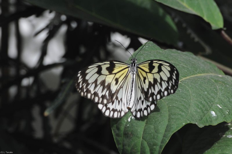 DS0_0879.jpg