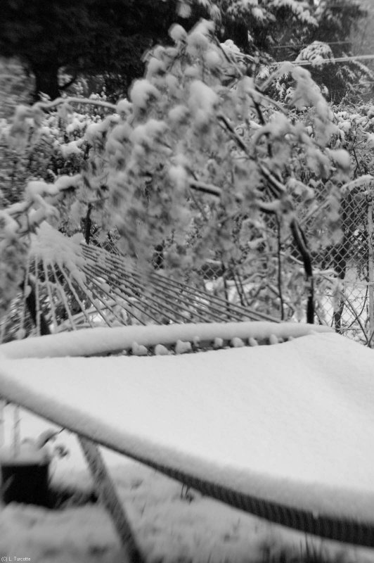 DSC_9980.jpg