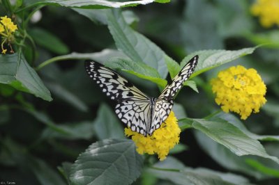 DS0_0868.jpg