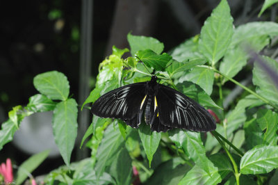 DS0_0878.jpg
