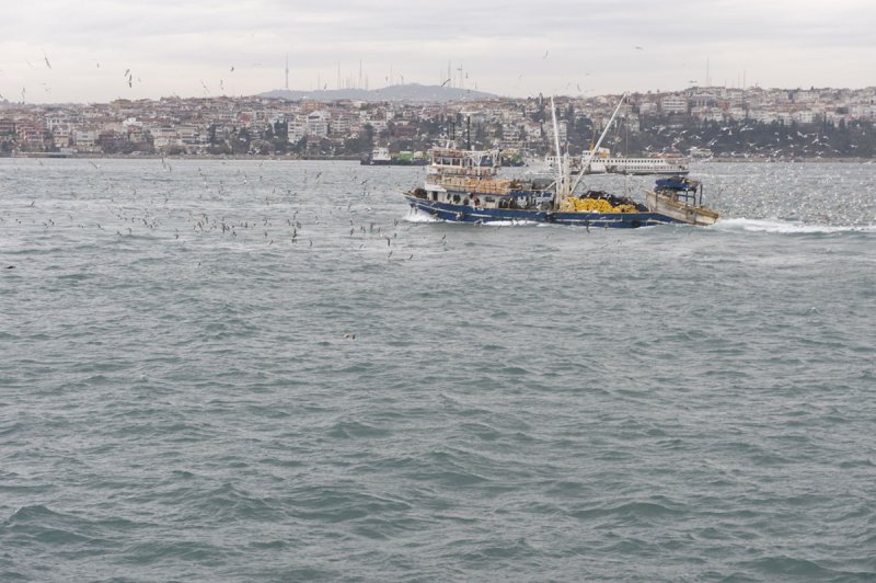 Istanbul december 2009 7125.jpg