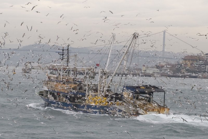 Istanbul december 2009 7130b.jpg