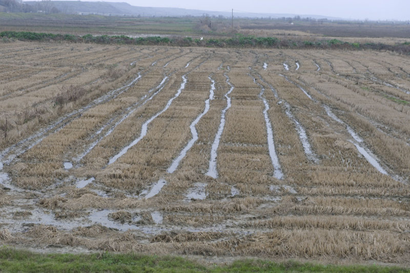 Uzunkopru december 2009 6392.jpg