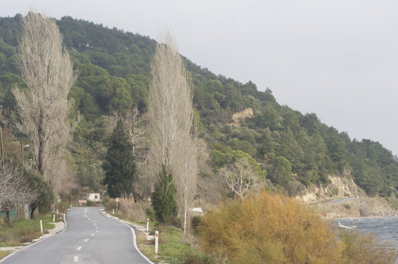 Canakkale december 2009 6603.jpg