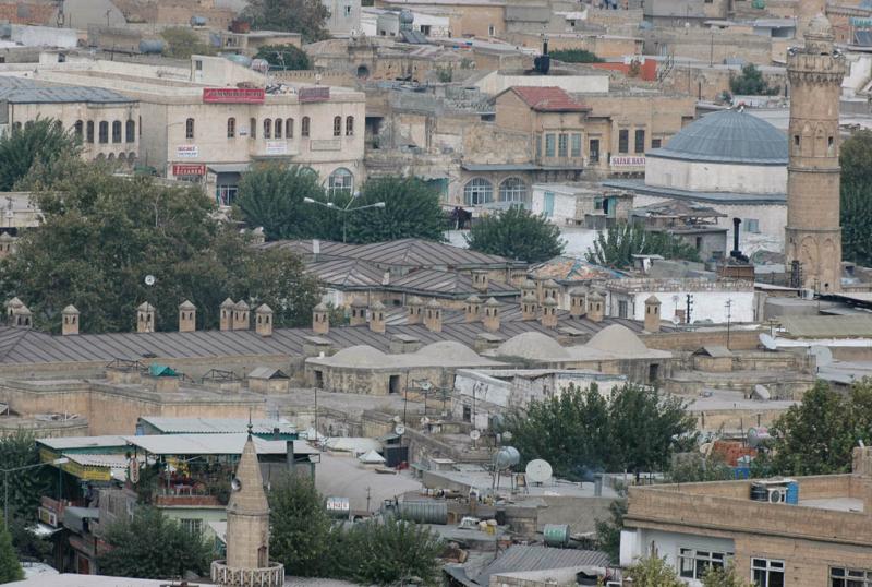 Şanlıurfa at or from Kale 3916
