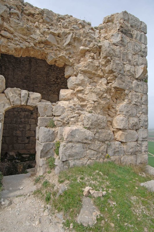 Snake Castle 08032008 2720.jpg