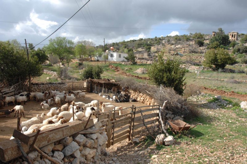 Demircili mrt 2008 3589.jpg