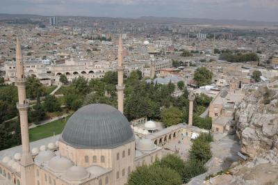 Şanlıurfa at or from Kale 3886