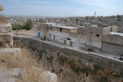 Şanlıurfa at or from Kale 3888