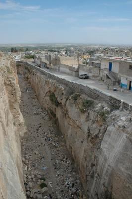 Şanlıurfa at or from Kale 3889