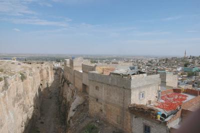 Şanlıurfa at or from Kale 3891