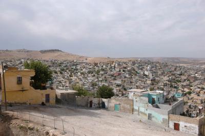 Şanlıurfa at or from Kale 3898