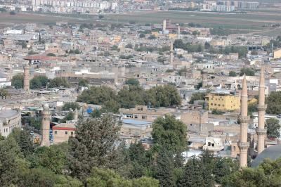 Şanlıurfa at or from Kale 3901