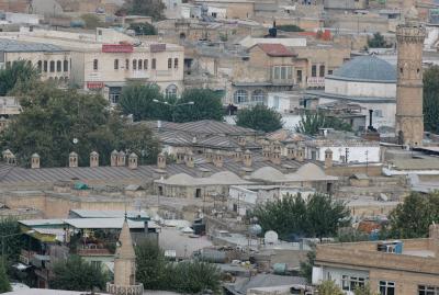 Şanlıurfa at or from Kale 3916