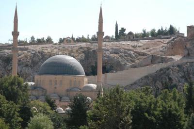 Şanlıurfa at Ponds 3693