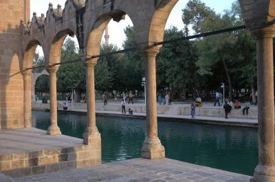 Şanlıurfa at ponds 3731