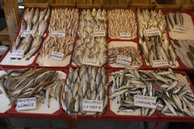 Mersin 092007 0592.jpg