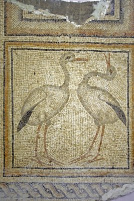 Animal mosaic fragments