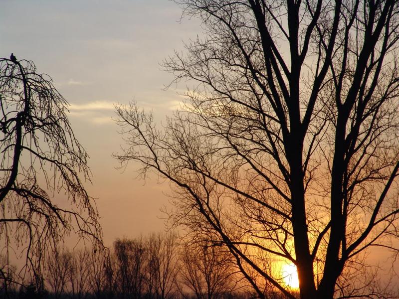 Sunrise in Burg Obbendorf