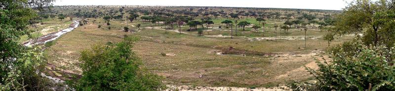 Tarangire Plains - A Panorama View of the Tarangire Plains