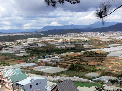  A Lot of Agricultural Growing Goes on in Dalat and the Surrounding Area