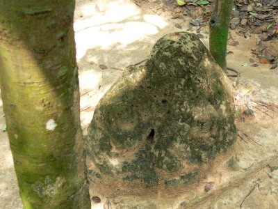  A Sentry Post and Sniper Mound