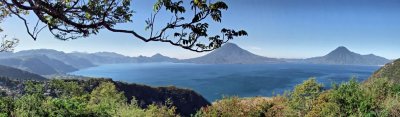 Condensed View