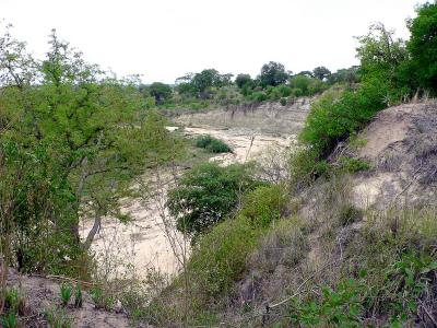 The Dry Tarangire River as Seen from our Camp Site