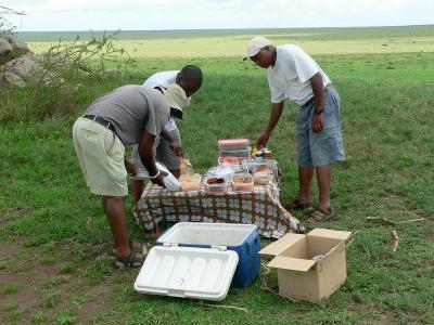 A Picnic in the Serengeti Plains, surrounded by thousands of animals in all directions (left to right - Moses, Paul and Alex)