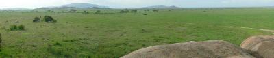 Serengeti Plains - A panorama view of the Serengeti Plains.