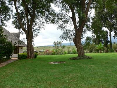 The Ngorongoro Farm House.   A view of the dining pavilion on the left, across the fields to our cottages down below.
