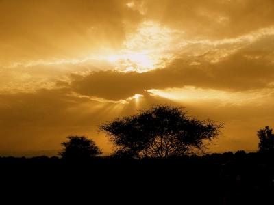 Sunset over Tarangire National Park - Tanzania