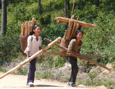Happy-taking-fuel-wood.jpg