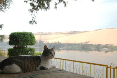 DSC_9056.jpg