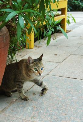 DSC_9068.jpg