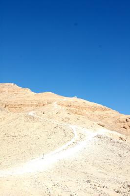 DSC_0796.jpg