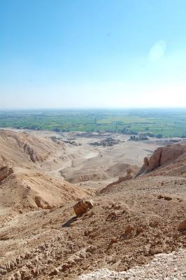 DSC_0797.jpg